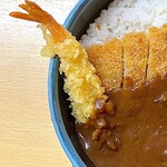 鶴や本家 - 料理写真:カツカレー　左