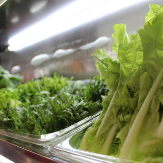 瑞々しい葉物野菜を中心に多種類の野菜を常時取り揃えております