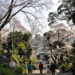 ステーキハウスB&M - 池上本門寺境内から見た池上の街