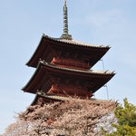 ステーキハウスB&M - 池上本門寺内五重塔