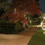 横浜うかい亭 - 夜の庭園 (2015-4)