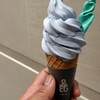 & EARL GREY 大丸梅田店