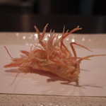天ぷら　酒菜　醍醐 - 食べれない・・・エビの頭