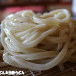 田舎うどん てつ - 2015年3月　うどん