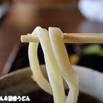田舎うどん てつ - 2015年3月　うどん　アップ