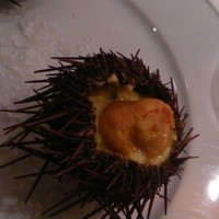 Benoit Alain Ducasse - 