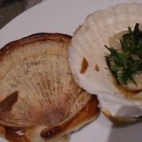 Benoit Alain Ducasse - 