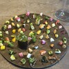 TSUSHIMI - 