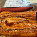鰻の成瀬 - 重箱からはみ出す大きさ