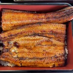 鰻の成瀬 - うな重