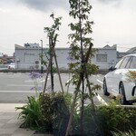 スターバックスコーヒー - 