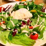 フェローズ ダイナー - ポーチドエッグとミックスサラダ