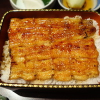 五代目 野田岩 麻布飯倉本店 - 「鰻重・萩」　2015年2月