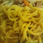 大宝 - 味噌ラーメン￥670+大盛￥103　麺固め　麺アップ