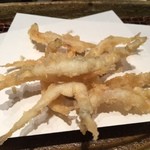 みかわ 是山居 - 4.10 しらうお