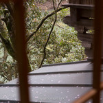 松籟庵 - 桂川を望む