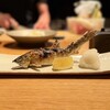 Koutarou - 鮎塩焼