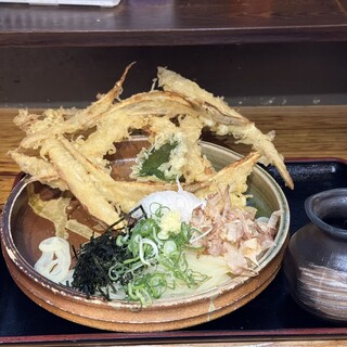 大地のうどん_0