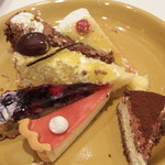 シャンティコレクション イオンモール東員店 - 