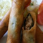 まぐろレストラン - マグロの春巻き(201504)
