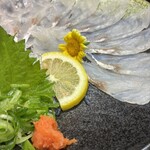 鶏親方/海斗 - 