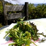 森のレストラン ラッキーガーデン - 期間限定メニュー  sakura