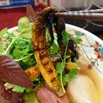 yagu-noodle - 