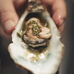 Rocket&Co. - 