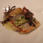 ジョンティ アッシュ - 