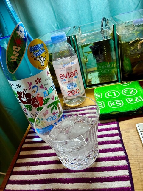 あれあれ？アロアロ⁉️』by はいからはくち : 三益酒店 - 本蓮沼