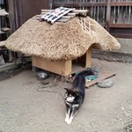 民宿すぎの子 - 犬のハチの家も茅葺き屋根でできています♪　いいな～♪