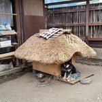 民宿すぎの子 - 冬でも暖かくてお気に入りだそうです♪　ボクも一緒に住みたいくらい（笑）