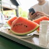 合戦小屋 - 