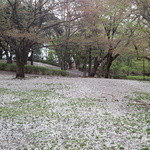 デニーズ - 近くの祖師谷公園