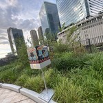 梅田 スカイ - 