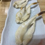 常盤木 - 