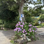 喫茶 オリーブ - 