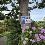 喫茶 オリーブ - 