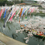 白玉饅頭　元祖 吉野屋 - 