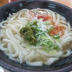 Kicchou Udon - かけうどん