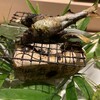 和食嘉肴 うす井
