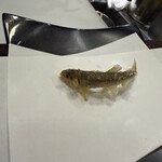 てんぷらこざき - 料理写真: