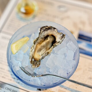 OYSTER FARM_1