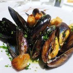 ヴィンチェロ - 北海道　昆布森のムール貝のワイン蒸し、ズッパ・ディ・コッツェ