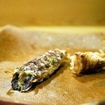 うを徳 - 2015.4 宮城松島活蝦蛄