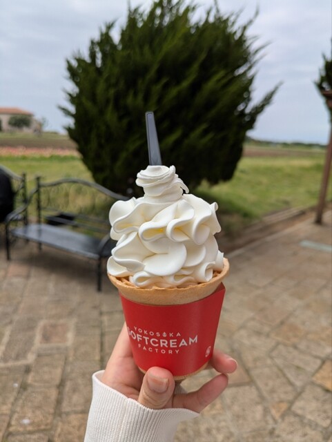 Y*。様 ソフトクリームのコ YOKOSUKA SOFTCREAM FACTRY （よこすか 関口牧場のソフトクリーム