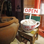 DOG DEPT - ９am から 9 pmまで！！