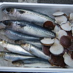 土浦魚市場 - じゃんけん優勝または誕生日特典（2015.3.14）