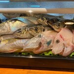 海鮮居酒屋 れん - 鮮魚