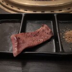 SATOブリアン - タン元